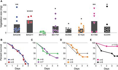 Vegetation Formation in Staphylococcus Aureus Endocarditis Inversely Correlates With RNAIII and sarA Expression in Invasive Clonal Complex 5 Isolates